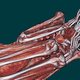 Illustration for article titled Everything We've Learned About Mummies Using 21st Century Technology